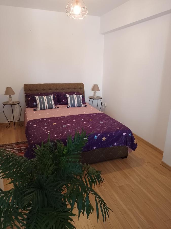 Sunny Blue Studio Năvodari Екстериор снимка